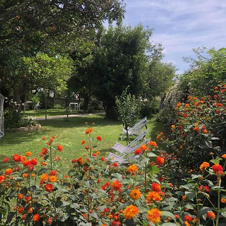 Villa Caterina B&B โปรชิดา ภายนอก รูปภาพ