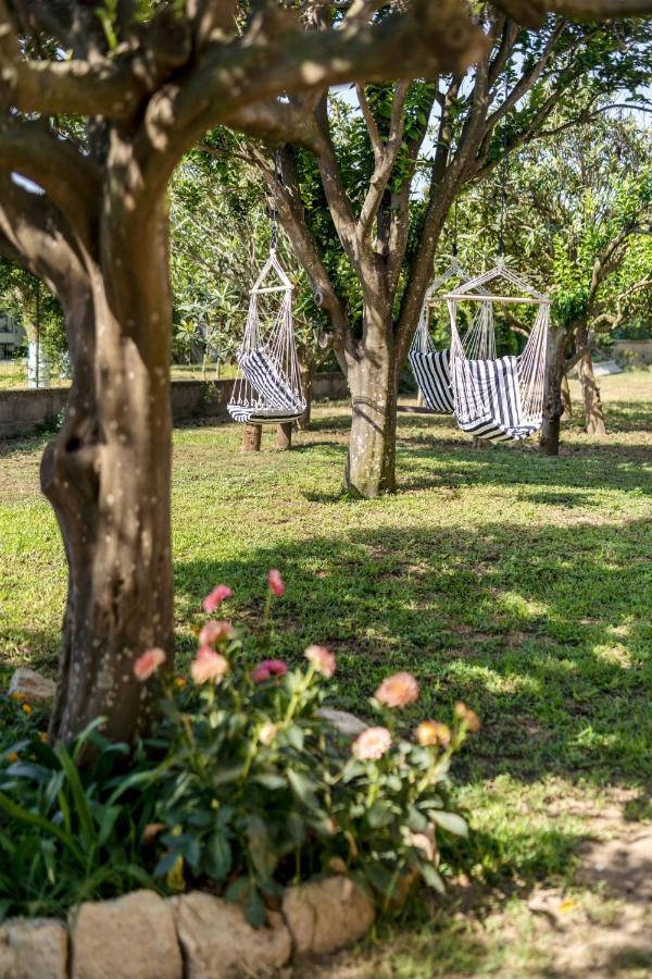 Villa Caterina B&B โปรชิดา ภายนอก รูปภาพ