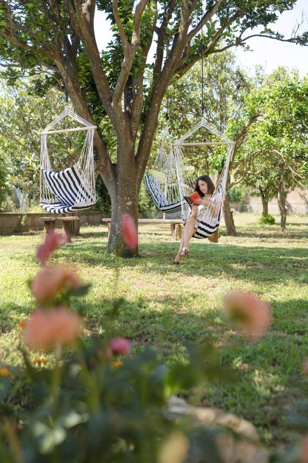Villa Caterina B&B โปรชิดา ภายนอก รูปภาพ