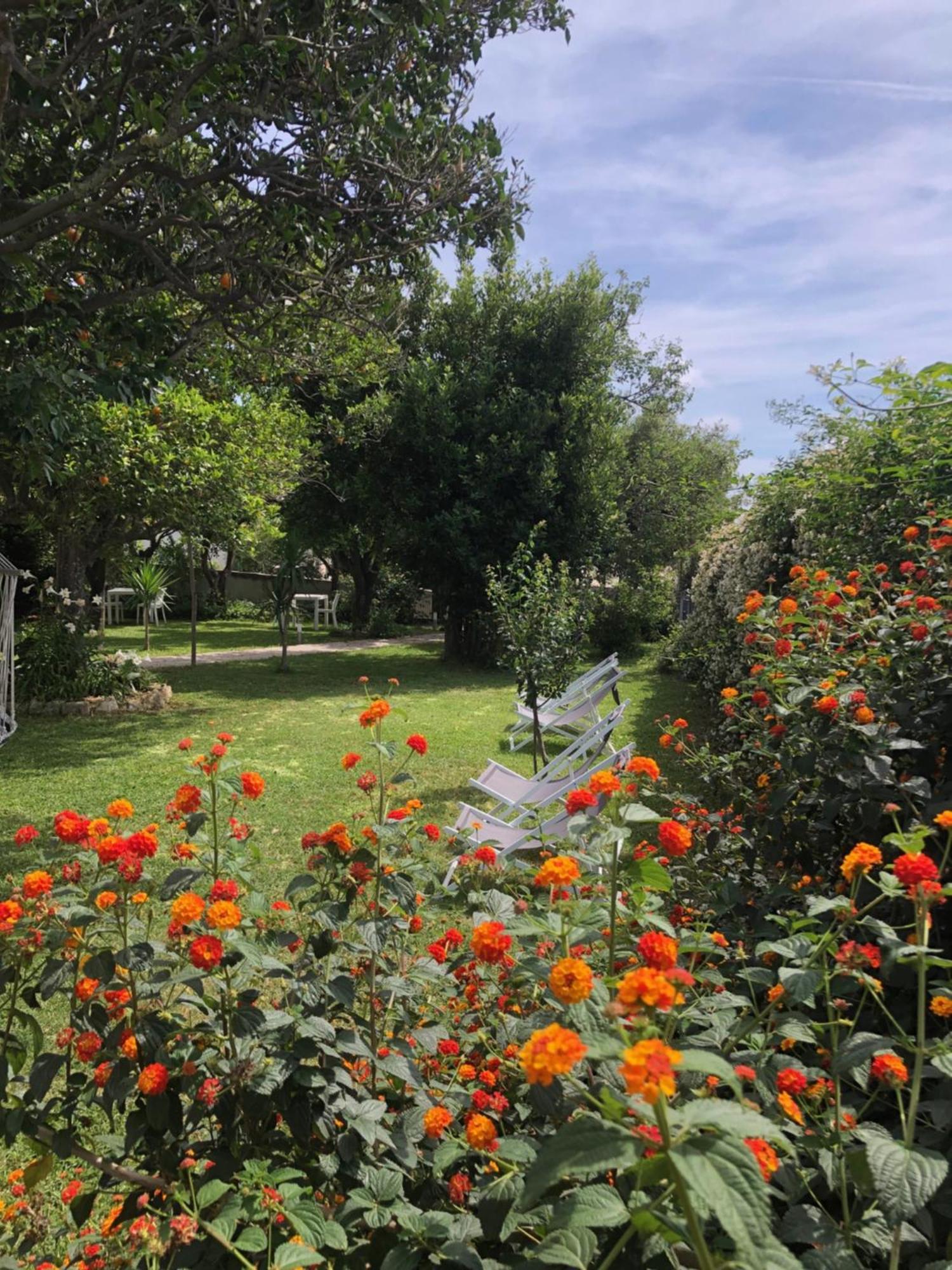 Villa Caterina B&B โปรชิดา ภายนอก รูปภาพ